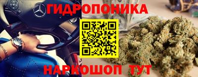 прущие крисы Ипатово