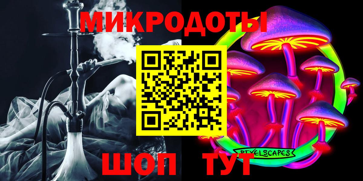 Галлюциногенные грибы Psilocybe Мичуринск