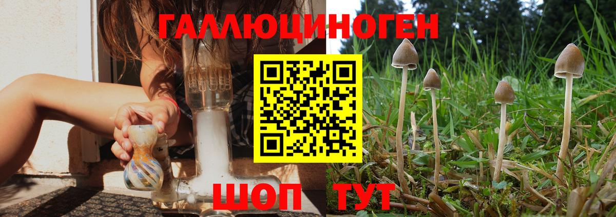 Галлюциногенные грибы прущие грибы  Вход с VPN  Мичуринск  Псилоцибиновые грибы мухоморы 